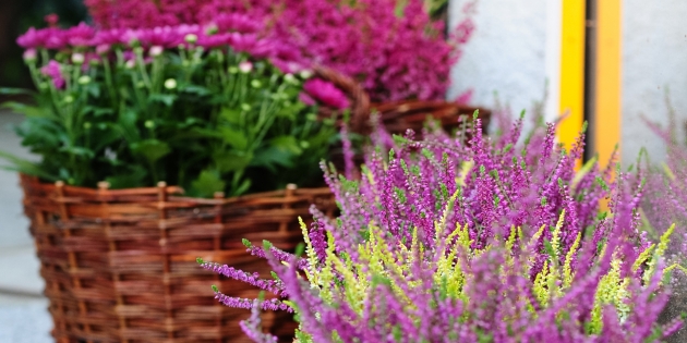 Fotografia produktowa 25